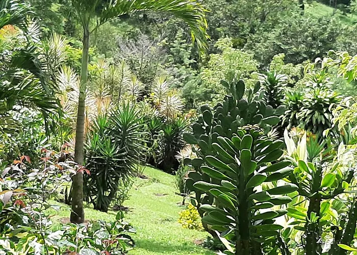 Bed & Breakfast Marita's