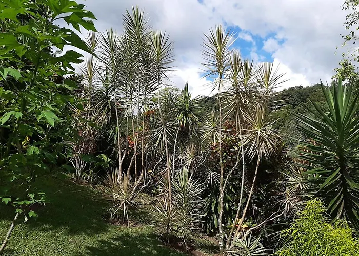 Marita's Nuevo Arenal